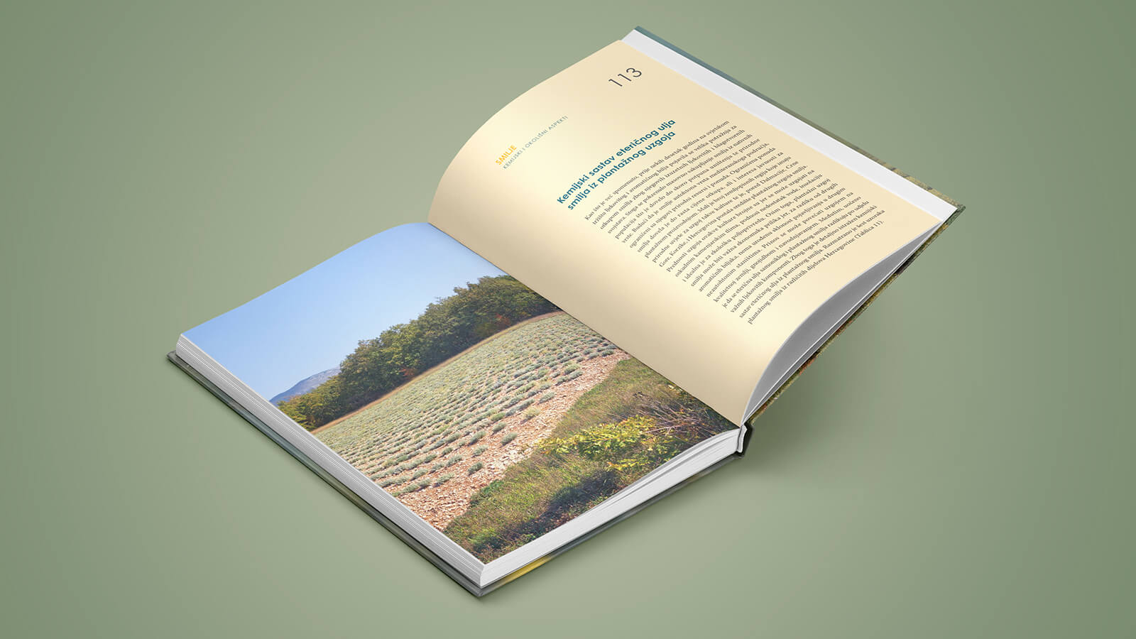 Grafičko oblikovanje knjige Smilje - Kemijski i okolišni aspekti